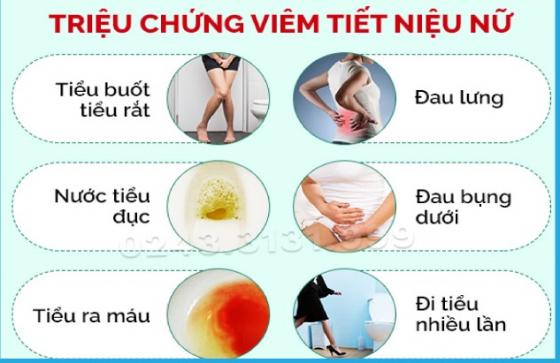 cac-bieu-hien-trieu-chung-cua-viem-duong-tiet-nieu.jpg